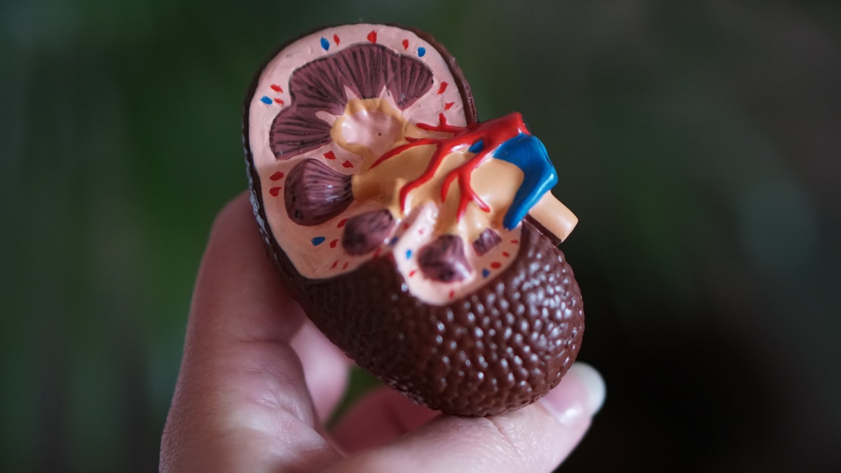 Diet and bladder health